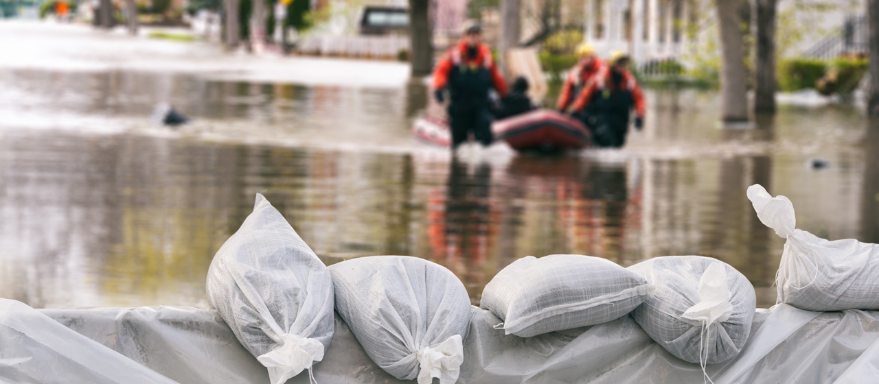 Emergency container and disaster recovery