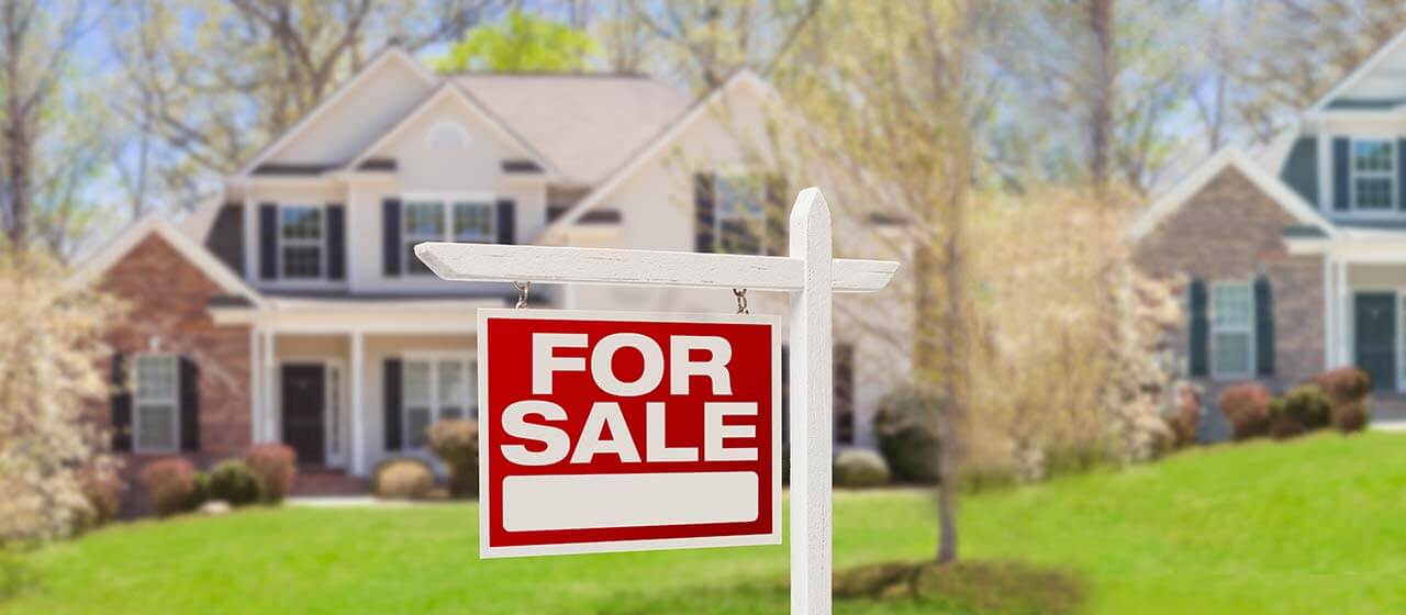 Real Estate