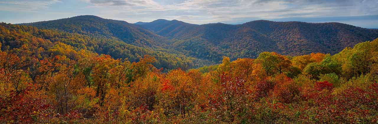 PODS Moving and Storage Shenandoah Valley