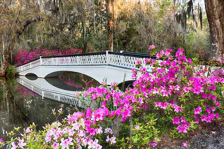 Things to do in Charleston