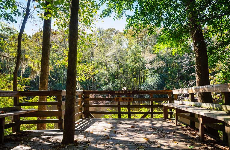 Things to do in Columbia