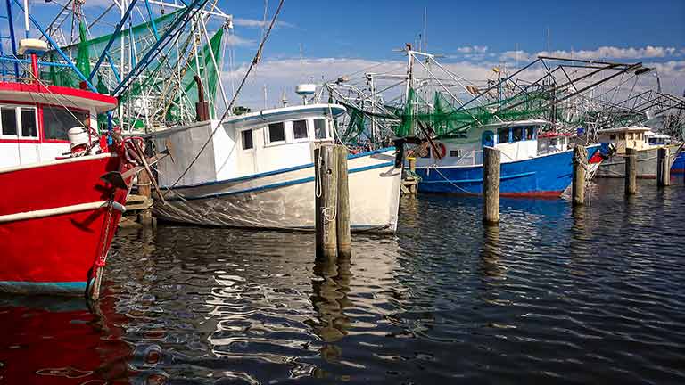 Things to do in Gulfport-Biloxi