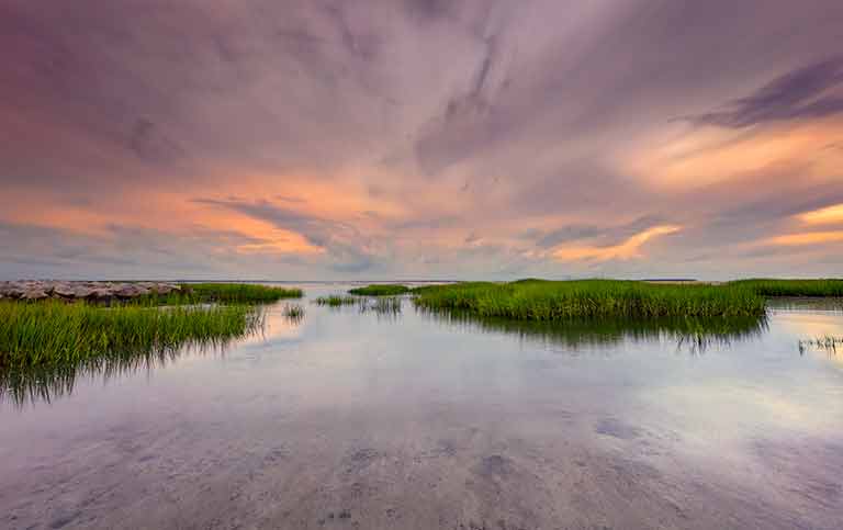 Things to do in Hilton Head