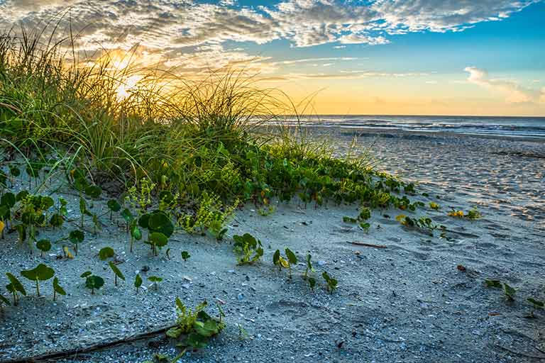 Things to do in Myrtle Beach