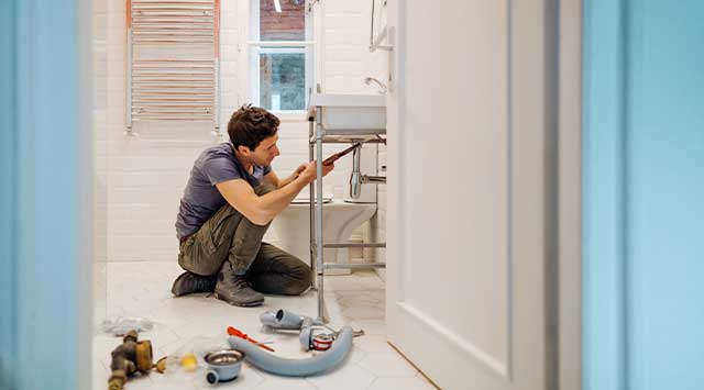 Royal Arms apartment renovation
