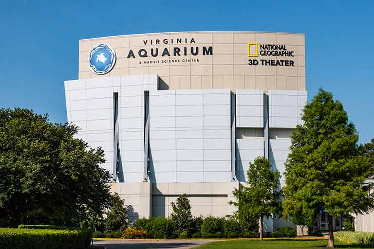 Things to do in Virginia Beach