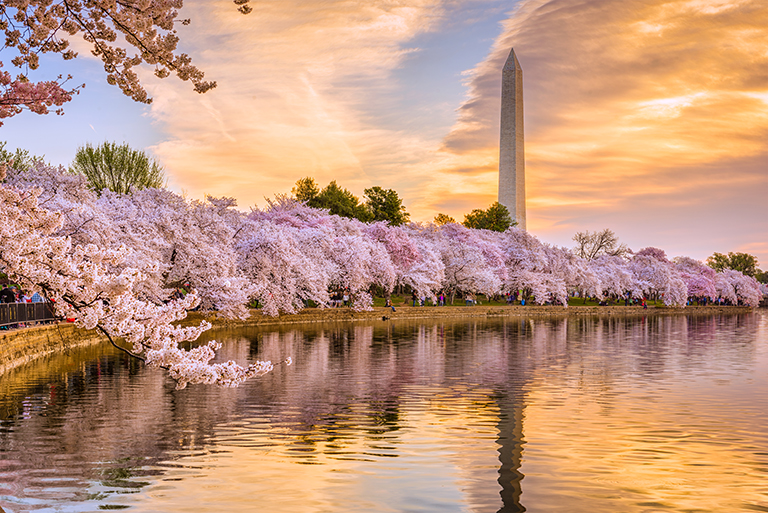 Moving to Washington DC