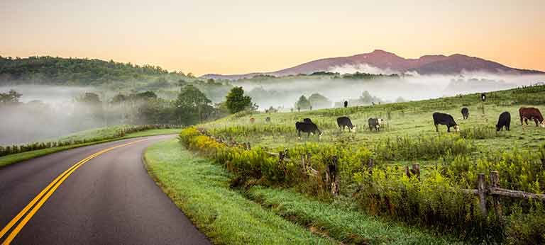 Moving to Western-Charlotte