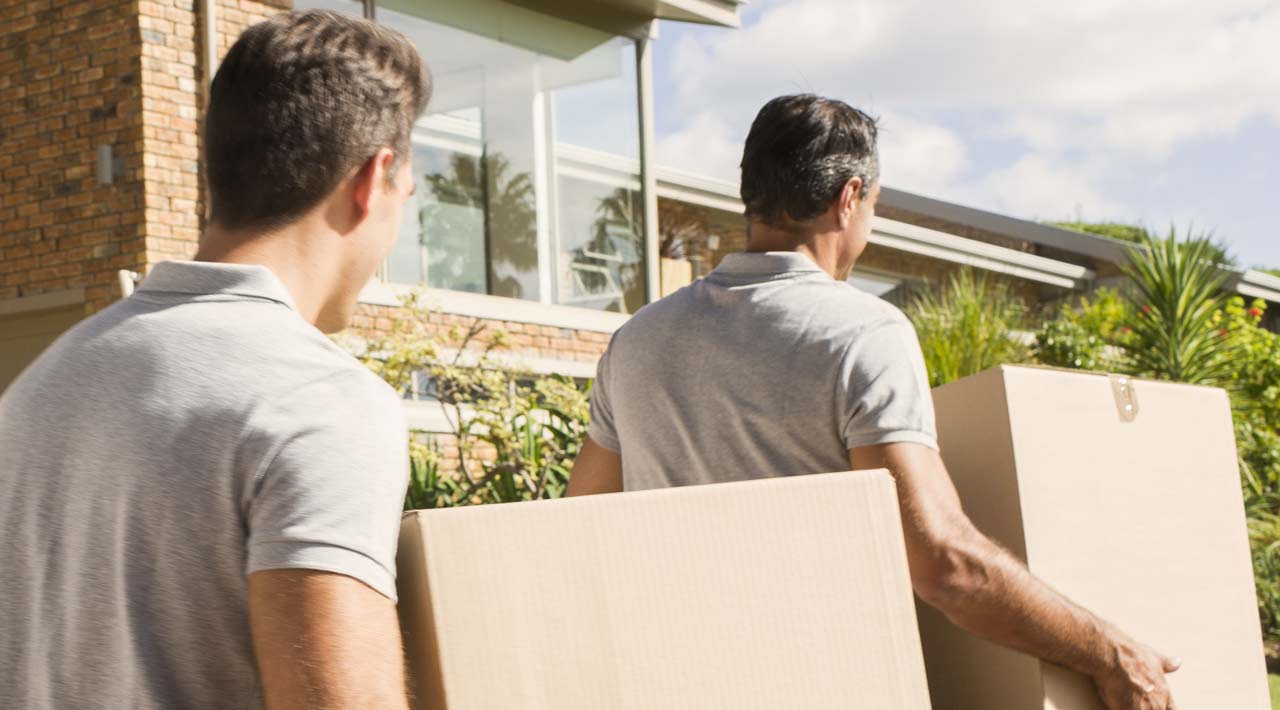 professionals moving boxes